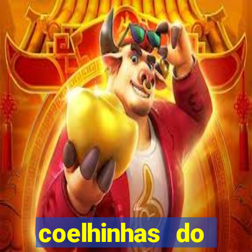 coelhinhas do brasil site